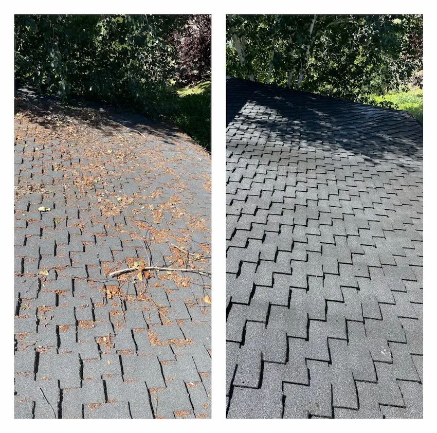 roof cleaning service